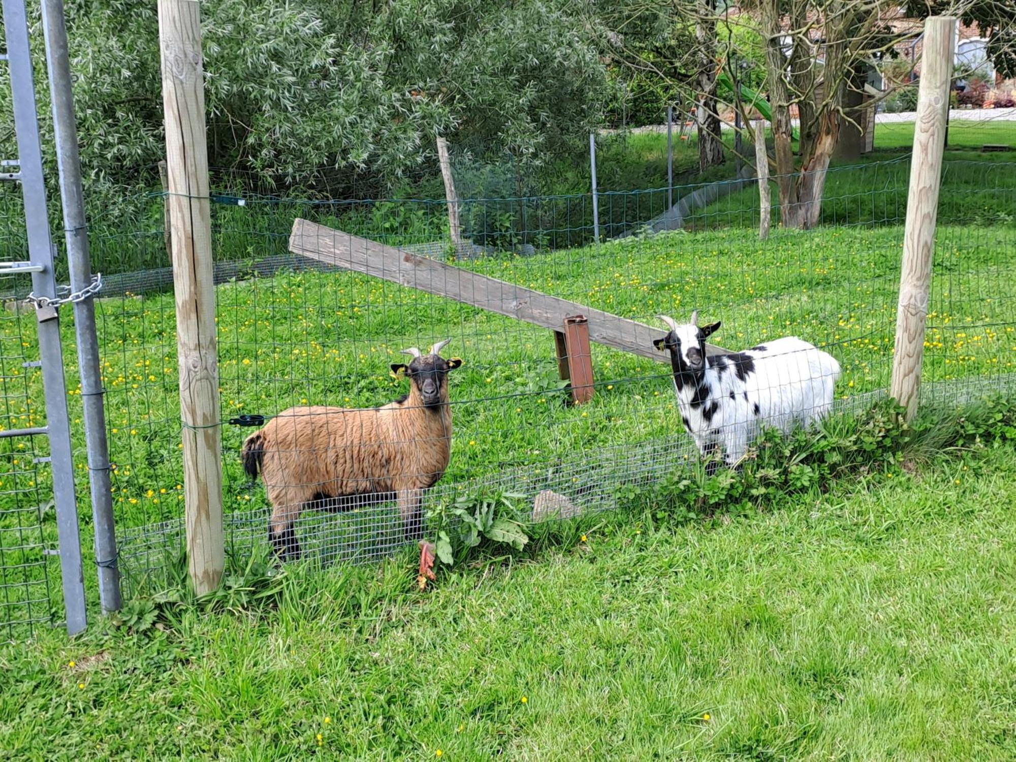 Monts De Flandre Insolite Berthen Kültér fotó